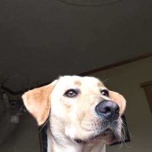 Meet your Posher, Jimmy